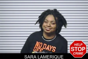 Sara Lamerique mugshot