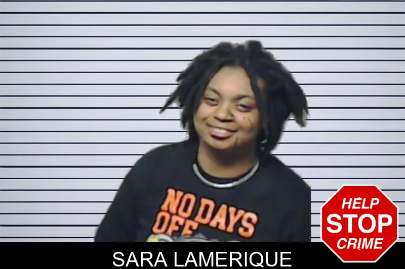 Sara Lamerique mugshot
