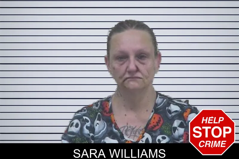 Sara Williams mugshot