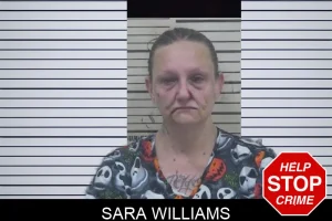 Sara Williams mugshot