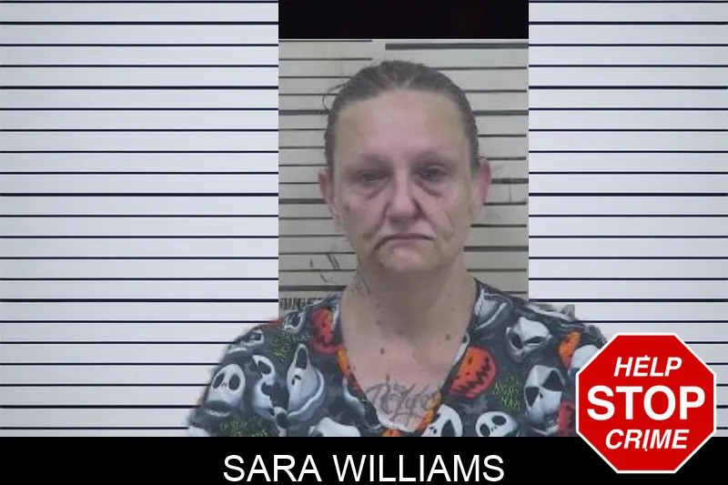 Sara Williams mugshot