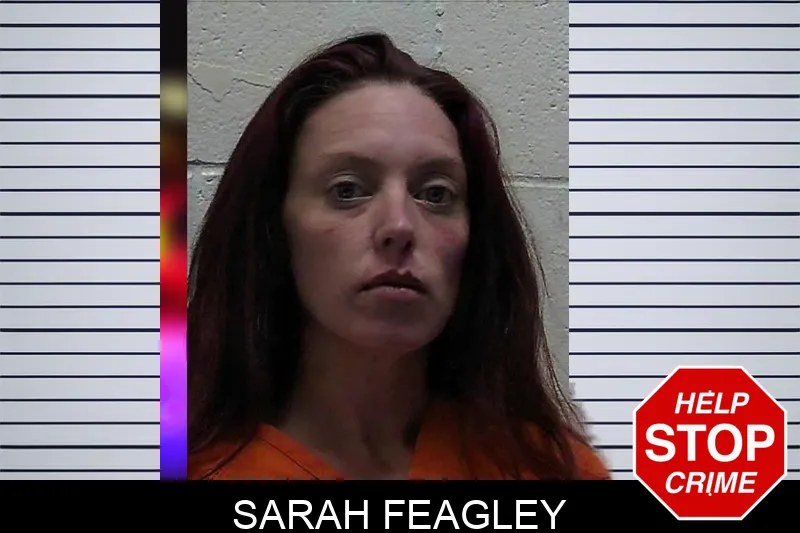 Sarah Feagley mugshot – Pierce County , Georgia Sarah Feagley mugshot