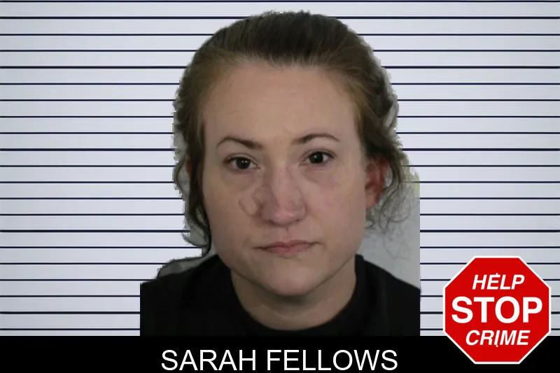Sarah Fellows mugshot