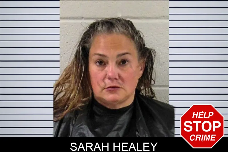 Sarah Healey mugshot