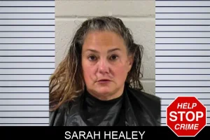 Sarah Healey mugshot