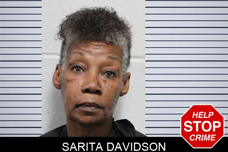 Sarita Davidson mugshot – Habersham County , Georgia Sarita Davidson mugshot