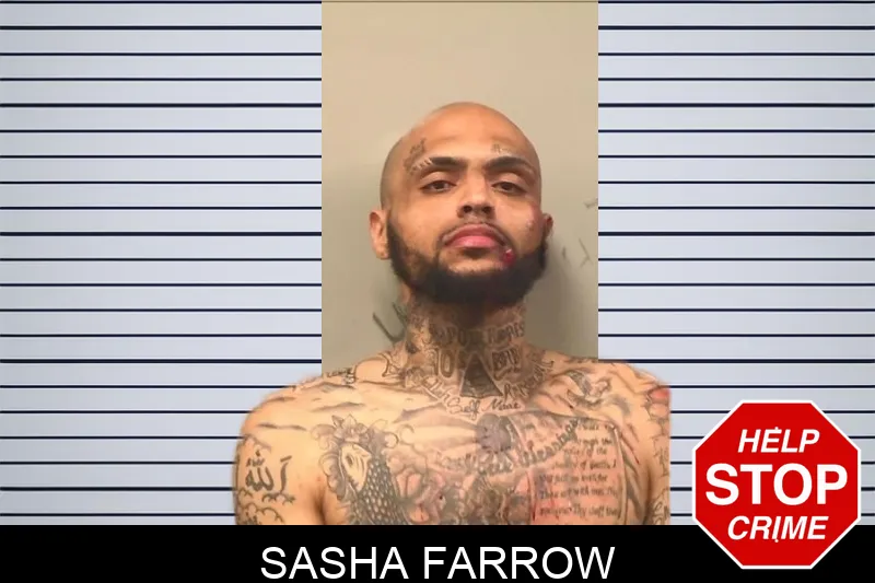 Sasha Farrow mugshot
