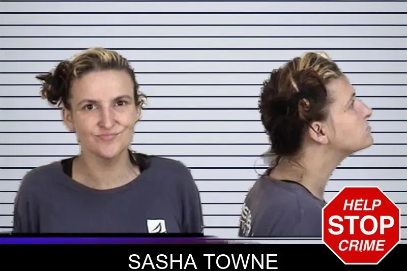 Sasha Towne mugshot