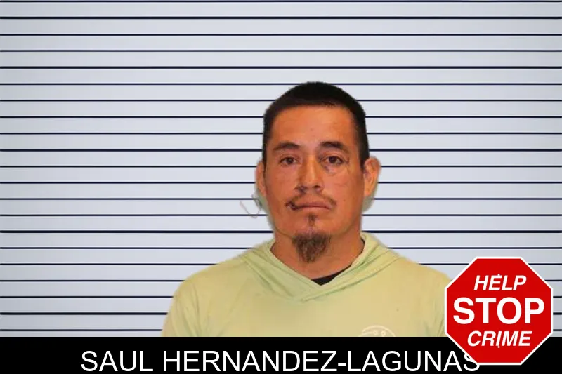 Saul Hernandez-Lagunas mugshot