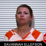 Savannah Ellefson mugshot