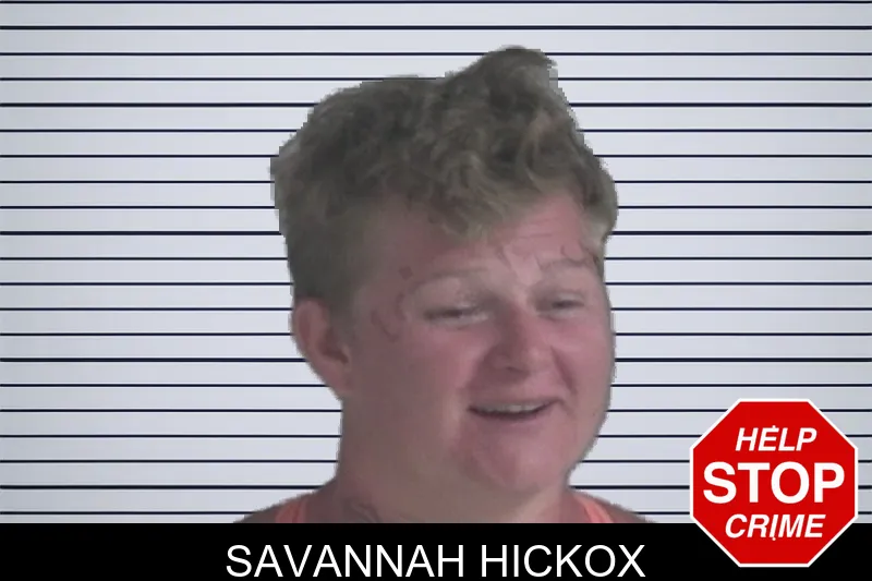 Savannah Hickox mugshot