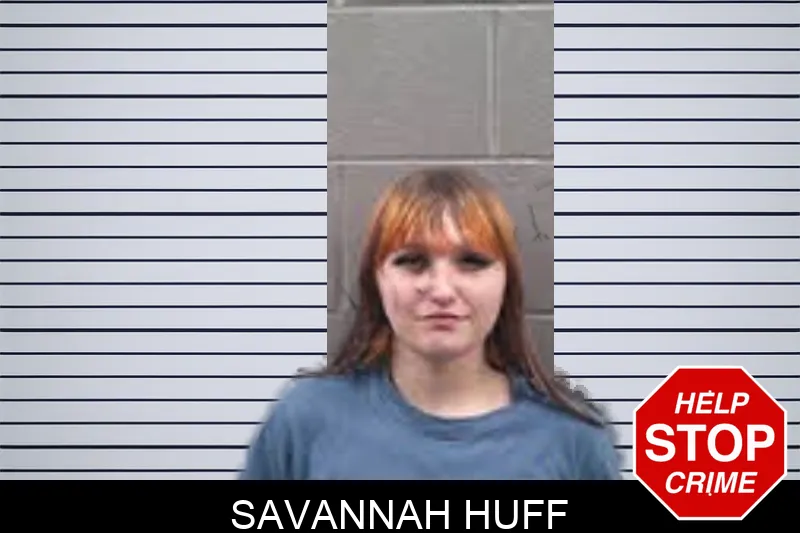 Savannah Huff mugshot – Banks County , Georgia Savannah Huff mugshot