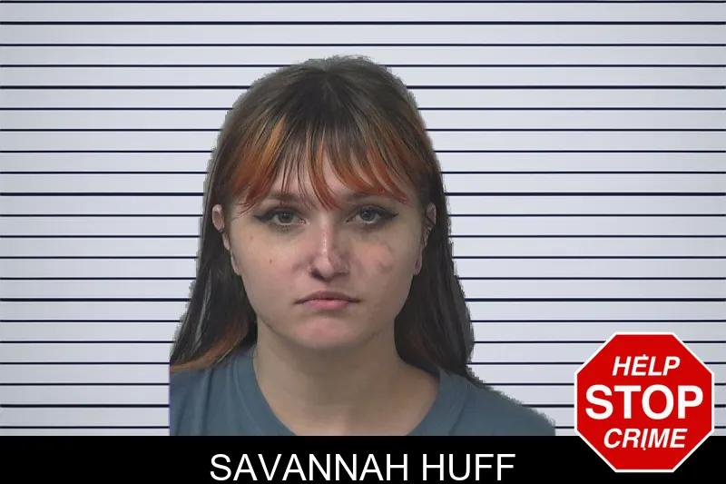 Savannah Huff mugshot – Gwinnett County , Georgia Savannah Huff mugshot