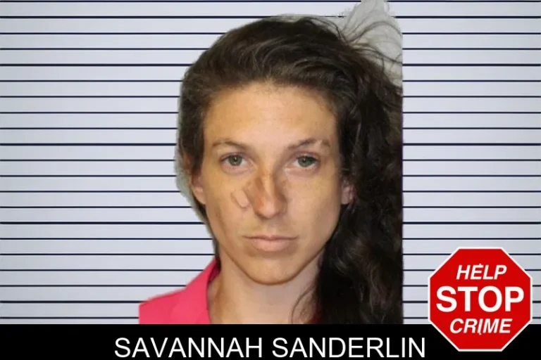 Savannah Sanderlin mugshot – Hall County , Georgia Savannah Sanderlin