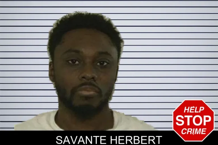 Savante Herbert