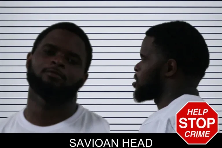 Savioan Head