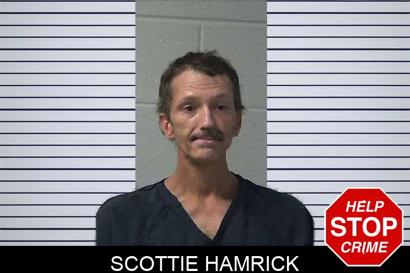 Scottie Hamrick mugshot – Gilmer County , Georgia Scottie Hamrick mugshot