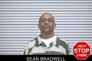 Sean Bradwell mugshot