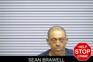 Sean Brawell mugshot