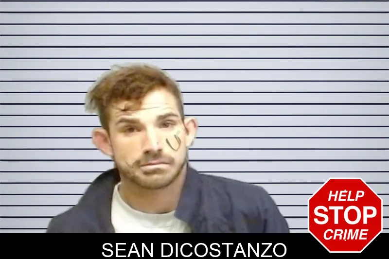 Sean Dicostanzo mugshot