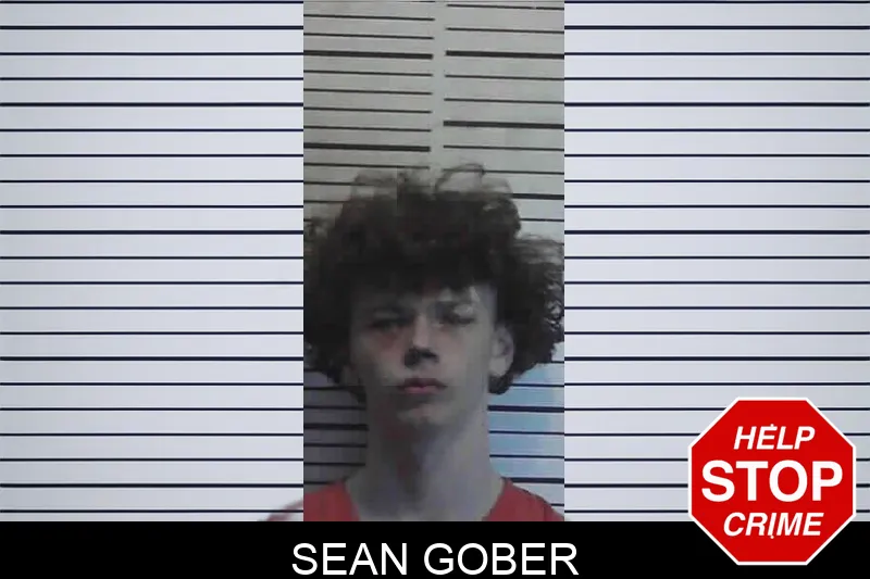 Sean Gober mugshot