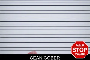 Sean Gober mugshot