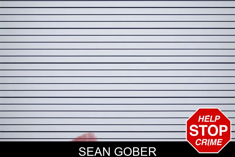 Sean Gober mugshot