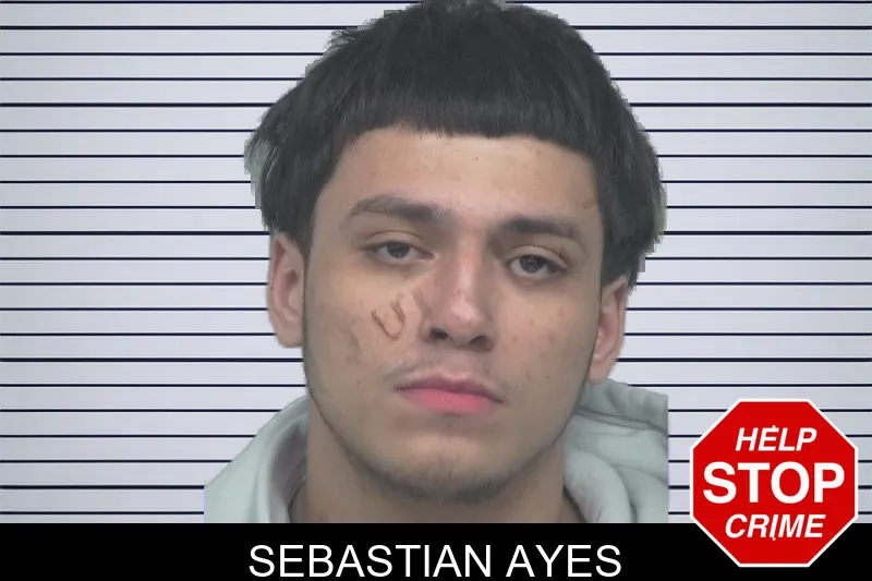 Sebastian Ayes mugshot – Gwinnett County , Georgia Sebastian Ayes mugshot