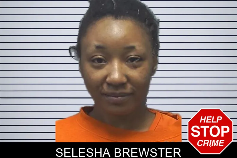 Selesha Brewster mugshot – Cherokee County , Georgia Selesha Brewster mugshot