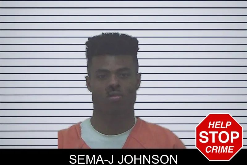 Sema-J Johnson mugshot