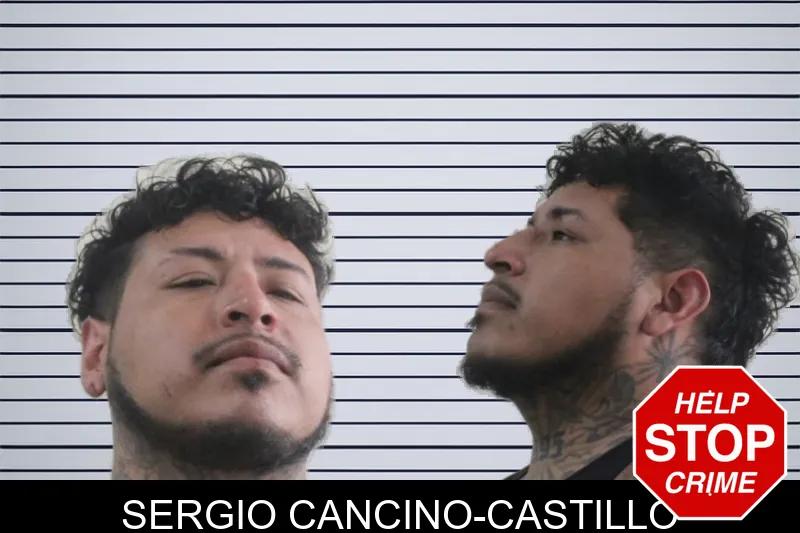 Sergio Cancino-Castillo mugshot