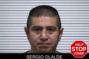 Sergio Olalde mugshot