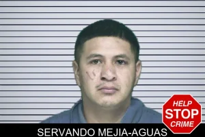 Servando Mejia-Aguas mugshot