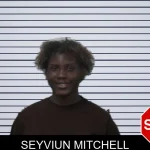 Seyviun Mitchell mugshot