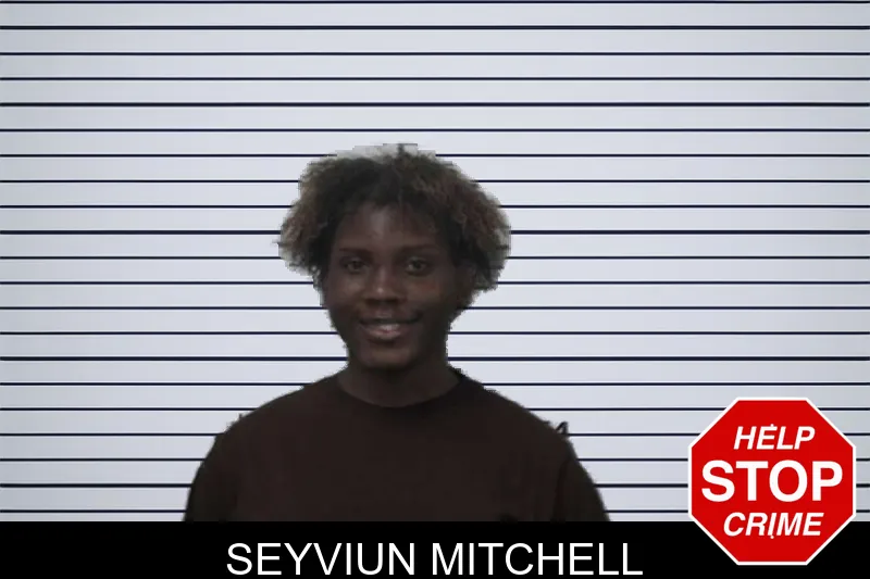 Seyviun Mitchell mugshot