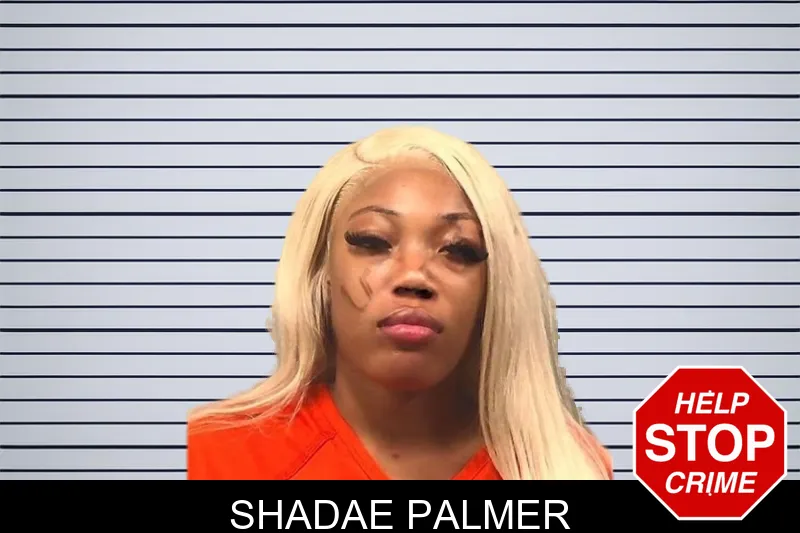 Shadae Palmer mugshot