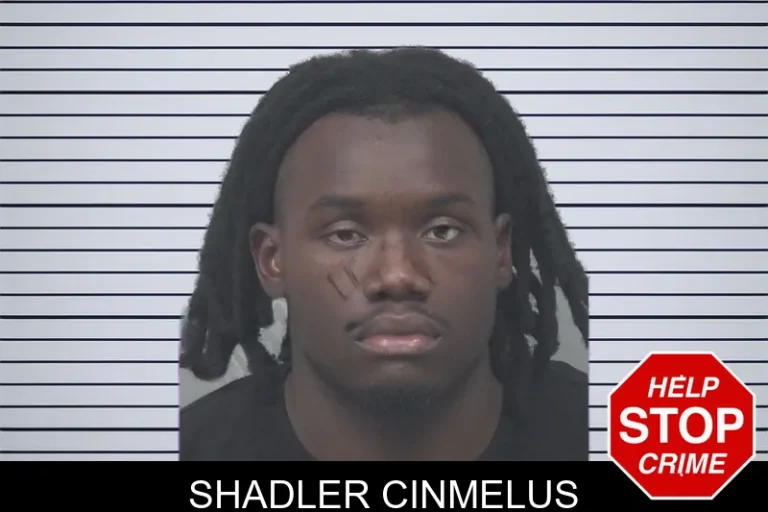 Shadler Cinmelus