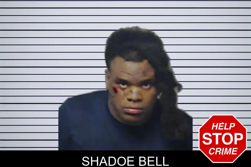 Shadoe Bell mugshot