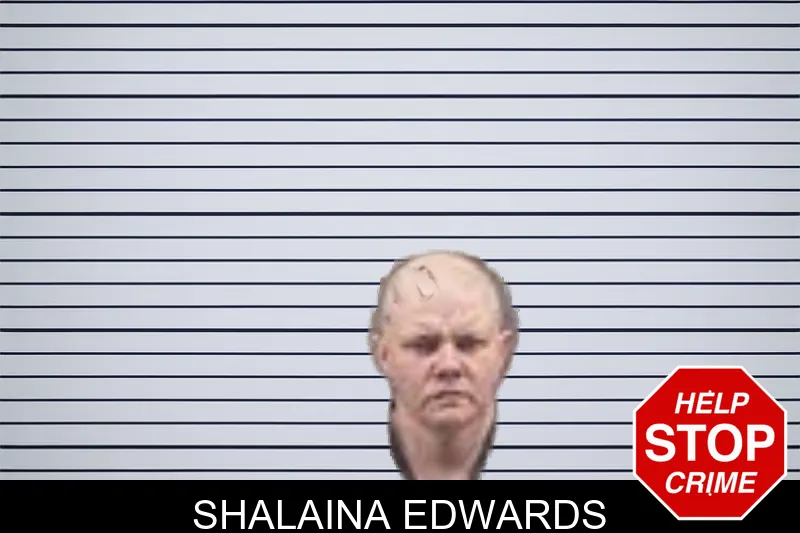 Shalaina Edwards mugshot – Banks County , Georgia Shalaina Edwards mugshot
