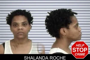 Shalanda Roche mugshot