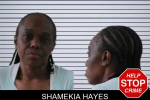 Shamekia Hayes mugshot