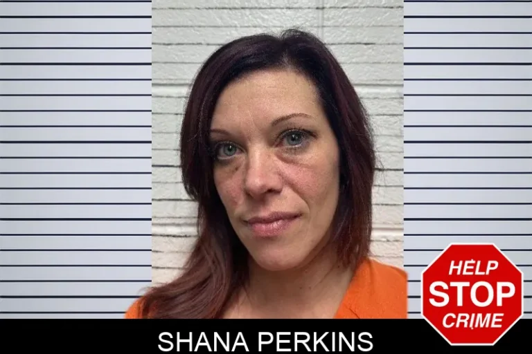 Shana Perkins mugshot – Dade County , Georgia Shana Perkins