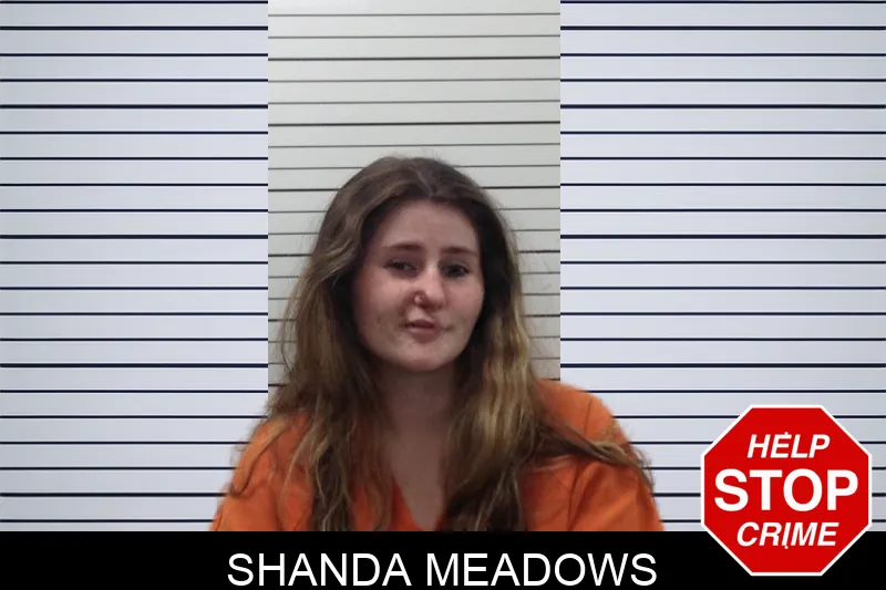 Shanda Meadows mugshot – Pickens County , Georgia Shanda Meadows mugshot