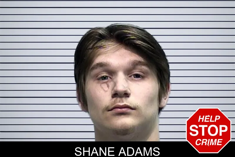 Shane Adams mugshot