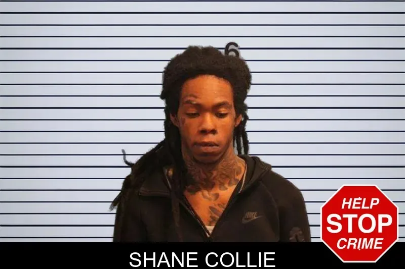 Shane Collie mugshot