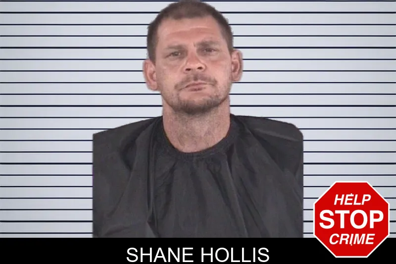 Shane Hollis mugshot