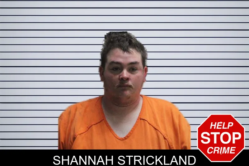 Shannah Strickland mugshot