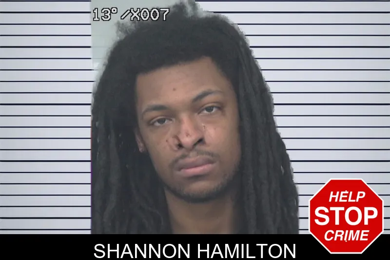 Shannon Hamilton mugshot