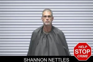 Shannon Nettles mugshot