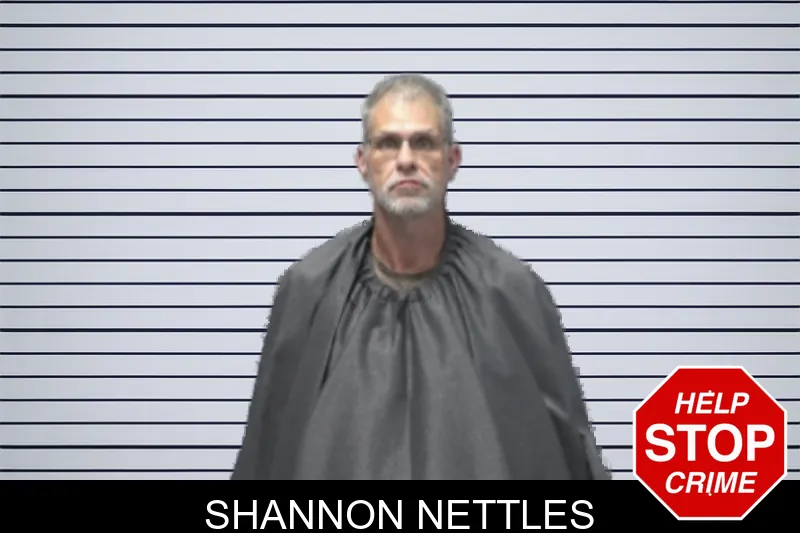 Shannon Nettles mugshot